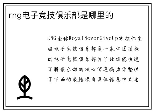 rng电子竞技俱乐部是哪里的